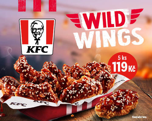 Wild Wings za 119,-