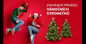 Zahájen prodej vánočních stromečků