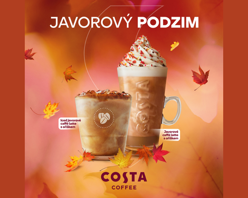 PRAVY VIZULU NA WEB 45