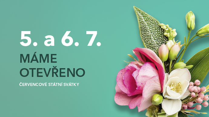 novinka letni svatky serviska 25 CZ