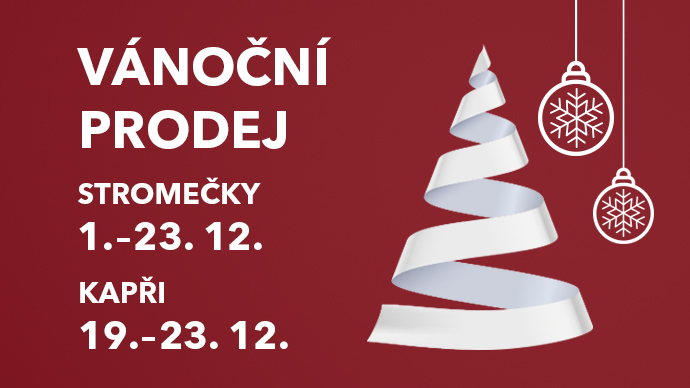 novinka stromek kapri 25 CZ